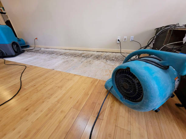 Professional Basement Flood Cleanup technician working in Elberta, MI